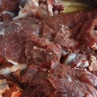 گوشته راسته حره شتر درجه یک