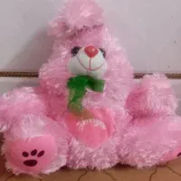 عروسک