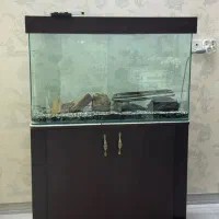 اکواریوم شیشه خم