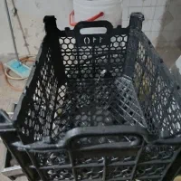 انواع سبد میوه