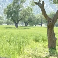 جهت-سرمایه-گزاری