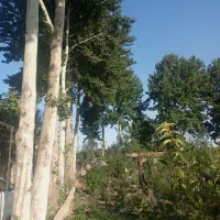 فروش و معاوضه ویلا باغ آرام و دنج سرخاب