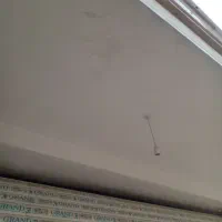 سفیدکار