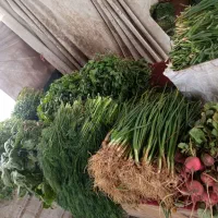 سبزی قرمه وخوردن