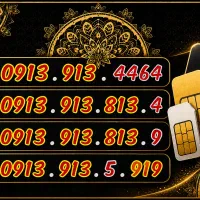 0913.911119.0