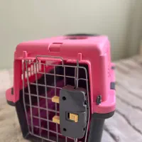 باکس حمل پت