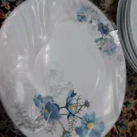 سرویس ارکوپال