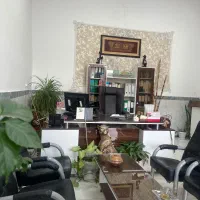 منشی خانم جهت کار در دفتر بیمه