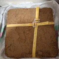 خاک کوکوپیت مخصوص حلزون