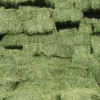 خرید فروش یونجه درجه یک