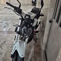 بنلی ۳۰۰ بشرط خشک خشک