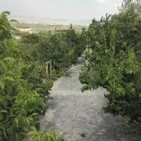 نگهبان برای باغ، نگابان خاس