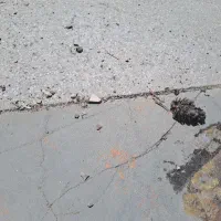 فیش تاکسیرانی