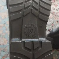 پوتین مرزبانی ۴۳