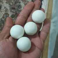 ۵۰ عدد الماس آسیاب اصل آزمایشهاش انجام شده