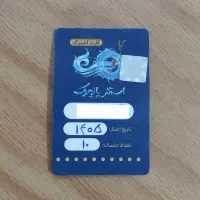 بلیط استخر پازیریک