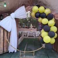 خدمات تولد رنگینـکده