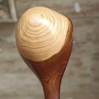 سه تارهای کاسه یه تیکه