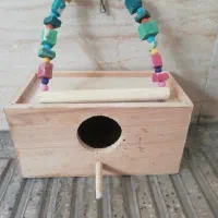 تاب و لونه پرنده