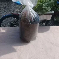 چای سرگل بهاره۱۴۰۵