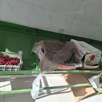 پالت میوه