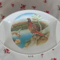 مرغ خوری ملامین
