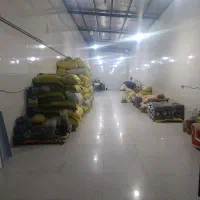 استخدام نیروی ساده