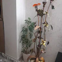 آباژور