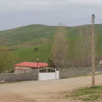 کارگر مخصوص باغ زرنگ و کاری ماهی ۲۰ میلیون