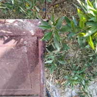 منزل فروشی