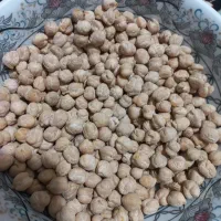 نخود ابگوشتی درجه ۱