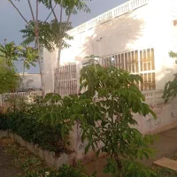 باغ ویلا نوچاه