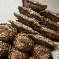 تعدادی بالش و پشتی