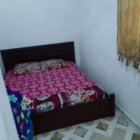 همخانه-خانم-فقط