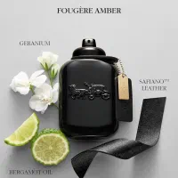 عطر اورجینال مردانه کوچ