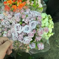 نیازمند کارگر گلخانه