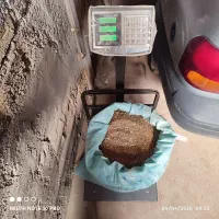 بذر یونجه 30 کیلو