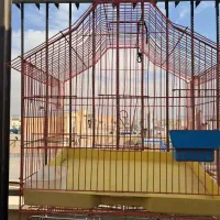 دو عدد قفس پرنده