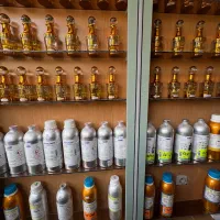 عطر|آرایشی، بهداشتی، درمانی|گلستان (تهران), |دیوار