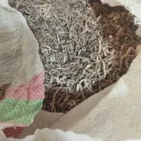 فروش پوشال خاک اره خورده چوب گردو