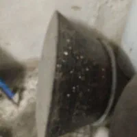 دیک مس قدیمی