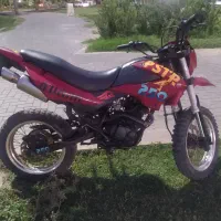 تریل 250