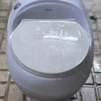 توالت فرنگی