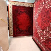 مشکی لاکی کرم اناری سبز کلاسیک ابراهیم پور