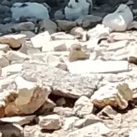 مزرعه و سرگرمی