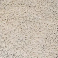 برنج طارم هاشمی درجه یک