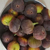 انجیر سیاه و یک کیسه برنج