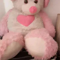 عروسک بزرگ ۱۵۰ و بقیه ۵۰ تومن