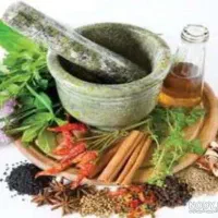 مشاور رایگان طب سنتی