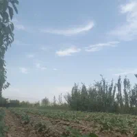ب ی نگهبان احتیاج دارم
